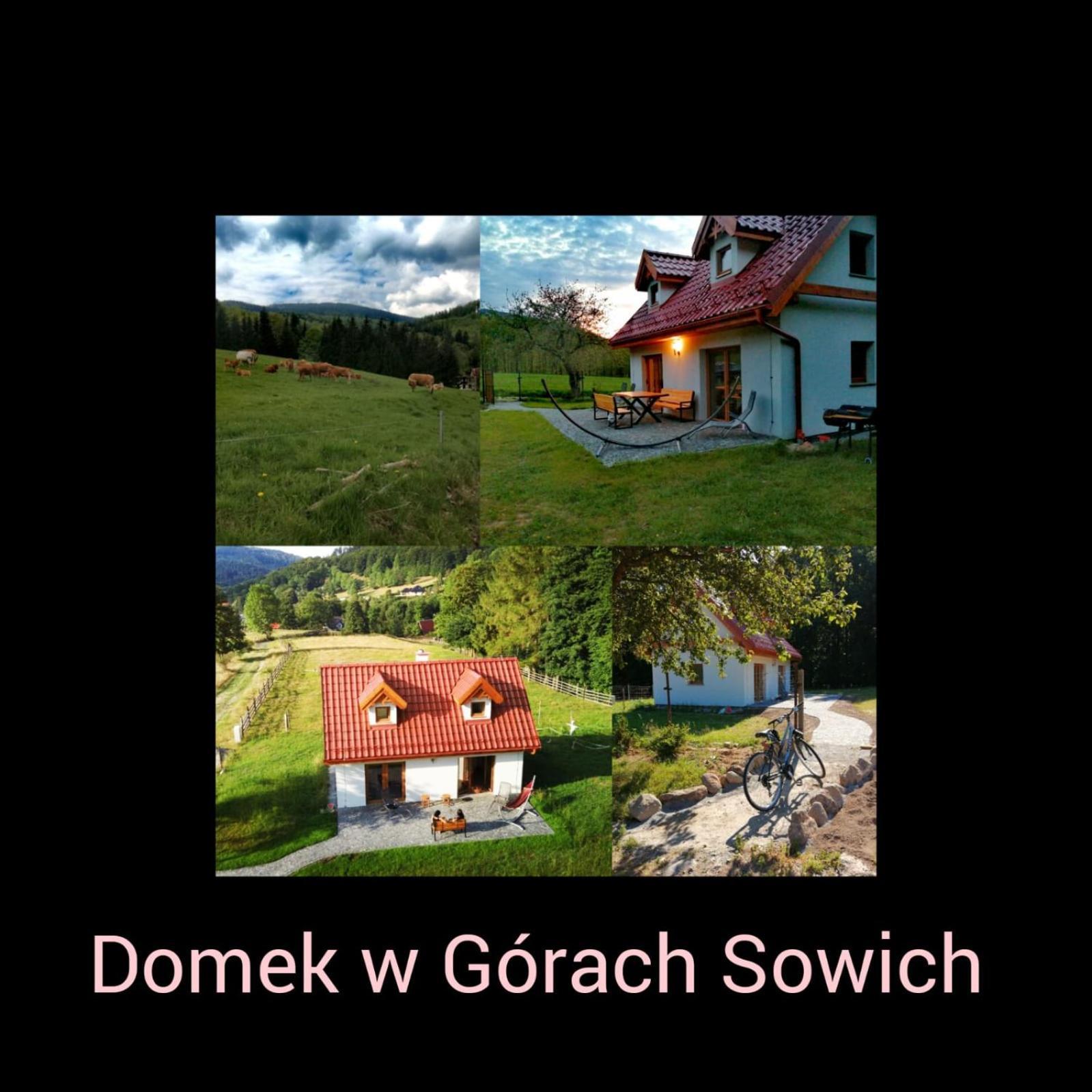 Domek W Gorach Sowich Pieszyce Esterno foto