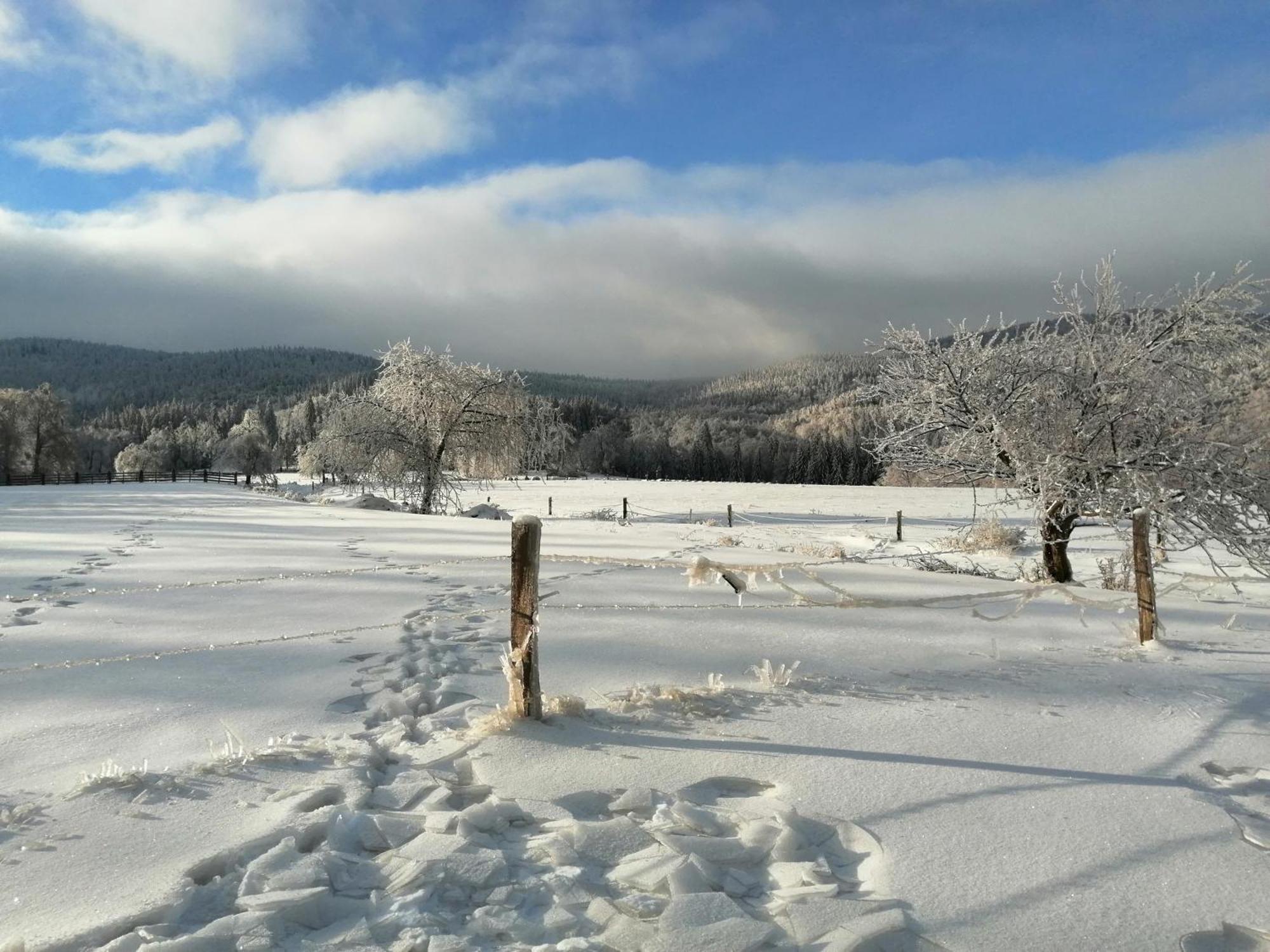Domek W Gorach Sowich Pieszyce Esterno foto