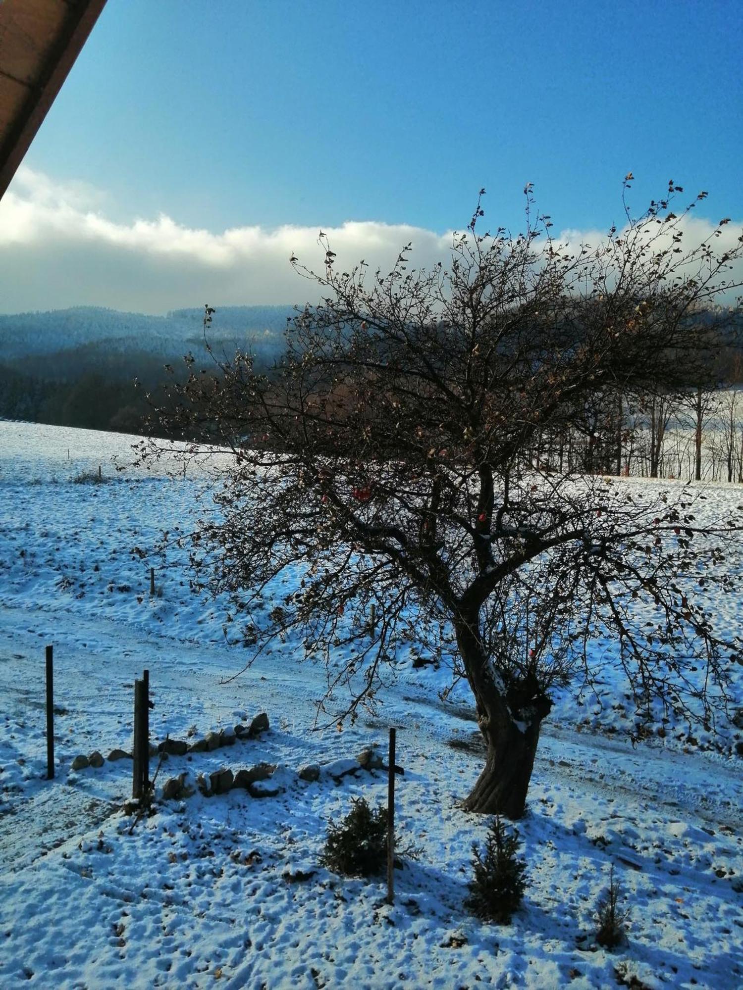 Domek W Gorach Sowich Pieszyce Esterno foto