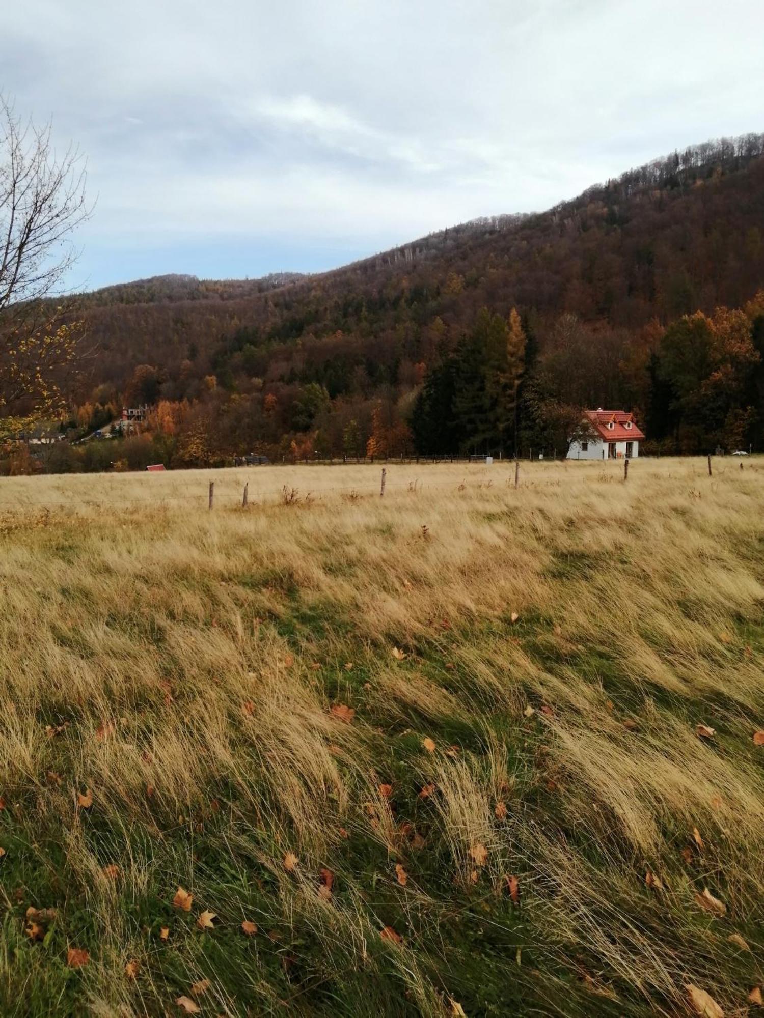 Domek W Gorach Sowich Pieszyce Esterno foto